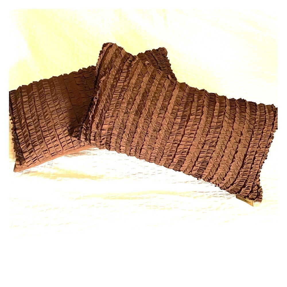 NWT! Set of Two Decorative Ruffle Pillows in Brown